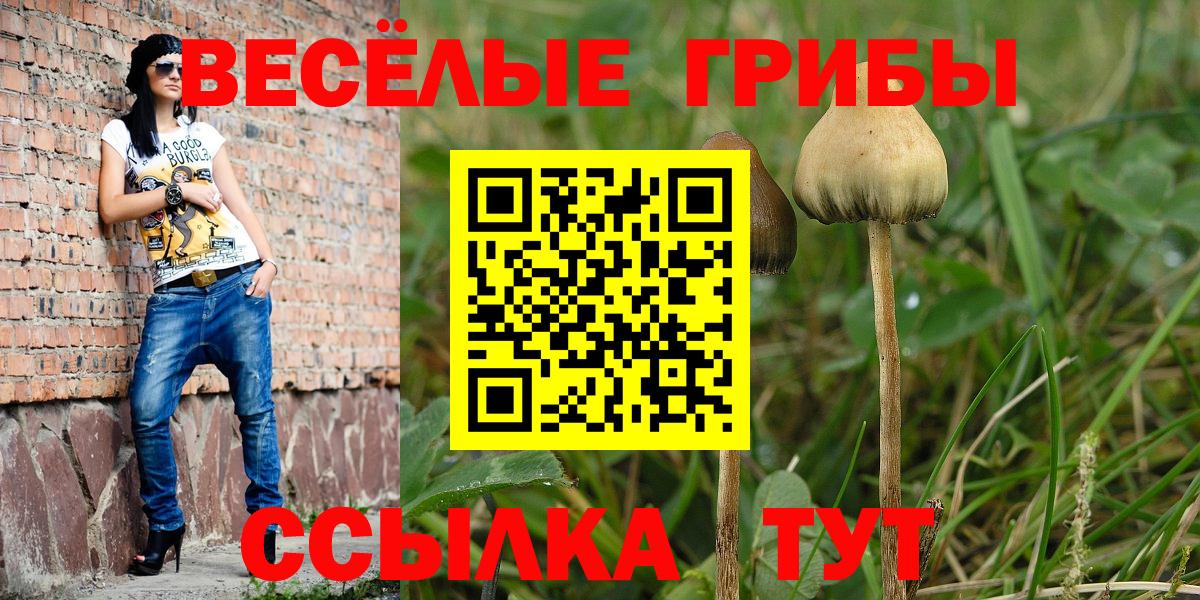 цены наркотик  Псилоцибиновые грибы мухоморы  Вход с VPN  Фрязино 