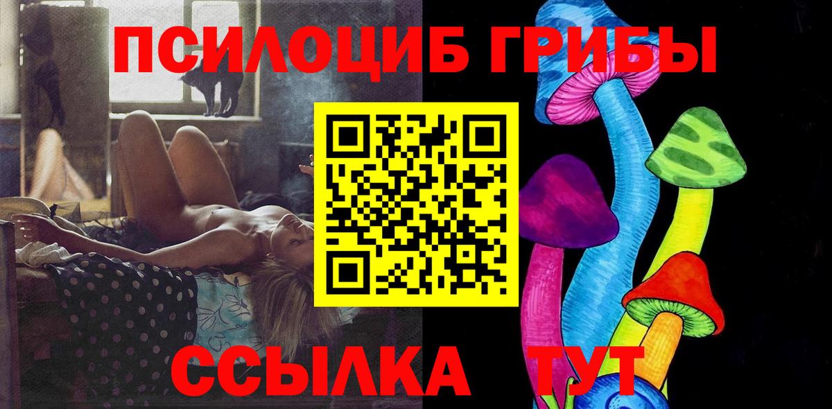 APVP Фрязино