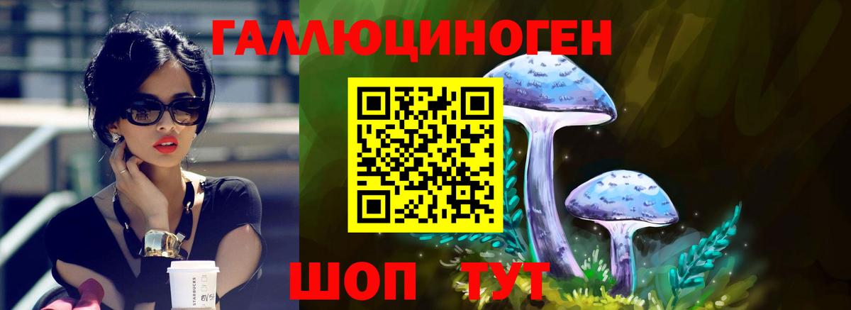 Галлюциногенные грибы GOLDEN TEACHER Фрязино